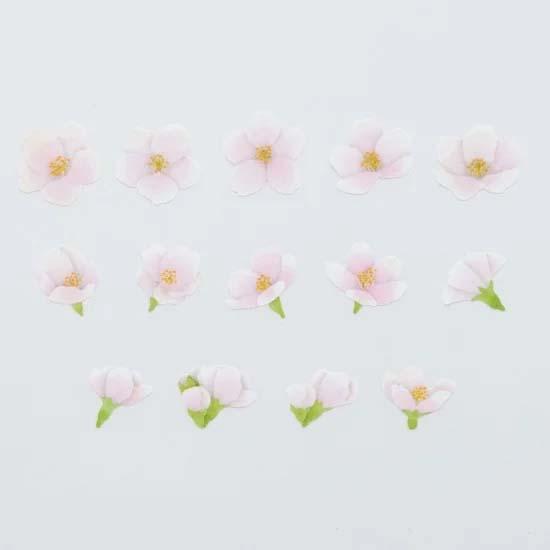 bande  1枚ずつめくれるマスキングテープ ソメイヨシノ | bande | 02