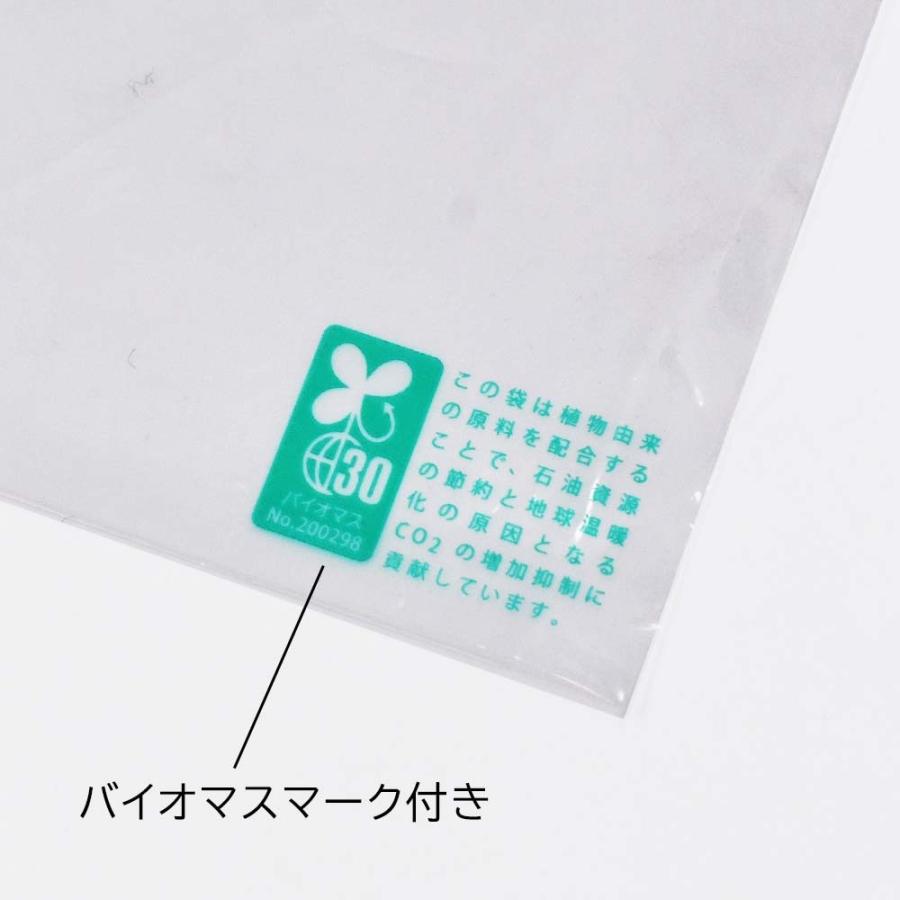 フィルム封筒 K2 1,000枚 LDPE(BIO)40μ 透明/緑eco テープ付 CHA0914の画像