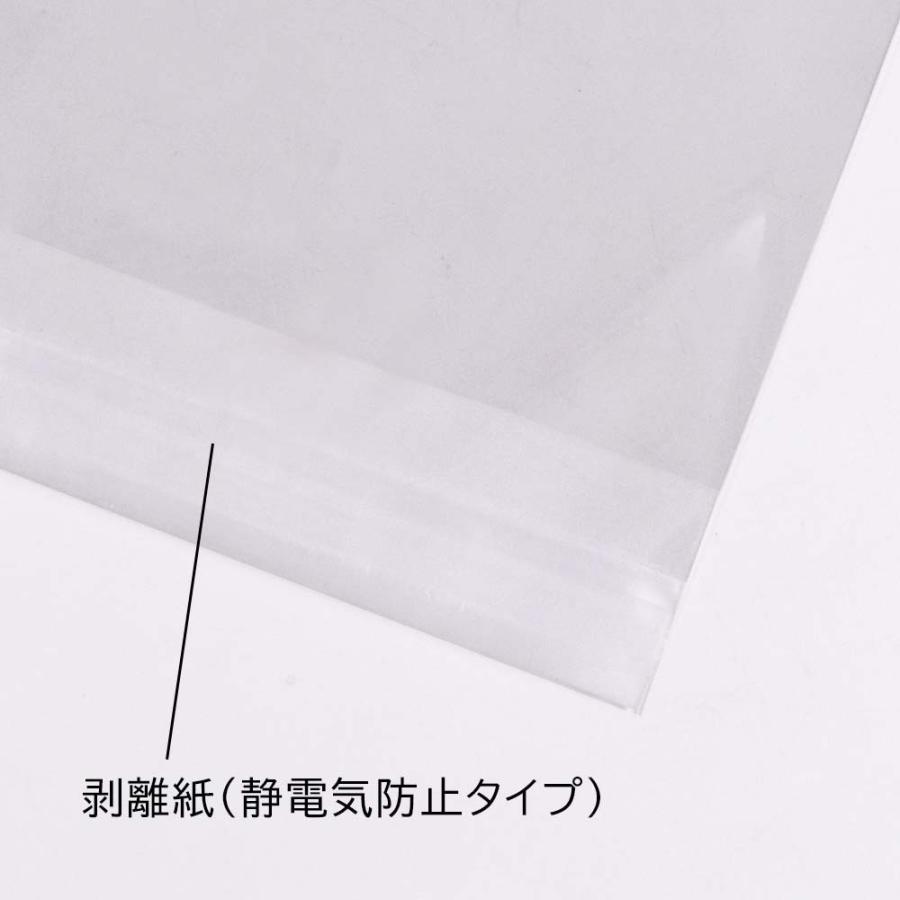 OPP袋 2,000枚 テープ付 OPP30μ 透明/透明 100×280+30mm テープ付 CHD0040の画像