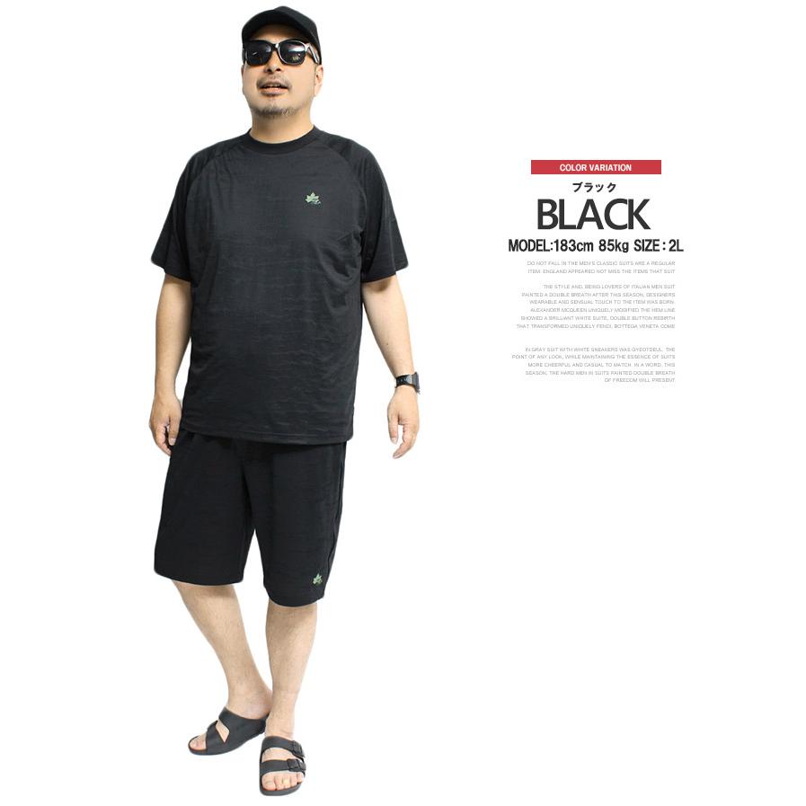 LOGOS PARK(ロゴス パーク) セットアップ メンズ 大きいサイズ ドライ メッシュ 吸汗速乾 ラグラン 半袖 Tシャツ ショートパンツ セットアップ | LOGOS | 07