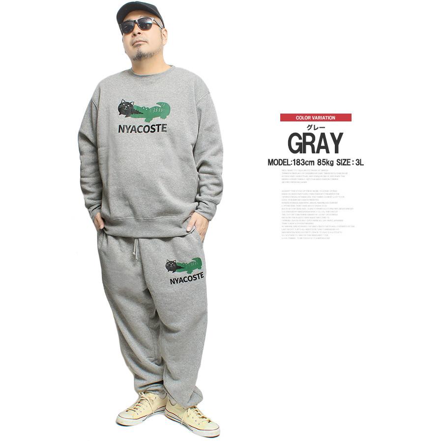 スウェット 上下 冬 セットアップ メンズ 大きいサイズ 裏起毛