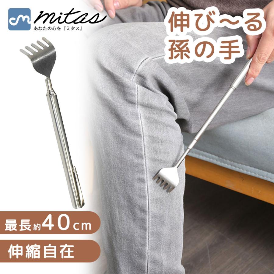 孫の手 4580463491318_02_b.jpg