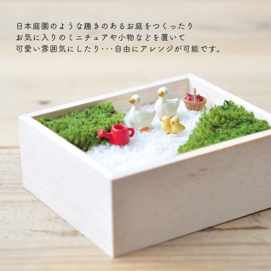 68 Off 苔盆 苔 コケ テラリウム 手作り 工作 キット 苔庭 スナゴケ インテリア ハンドメイド 日本庭園風 自作 簡単 おしゃれ 趣味 癒し ギフト 贈り物 プレゼント3 400円 Aynaelda Com