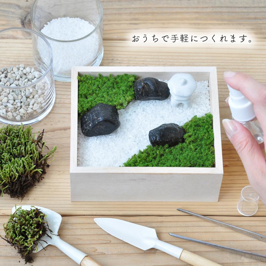 68 Off 苔盆 苔 コケ テラリウム 手作り 工作 キット 苔庭 スナゴケ インテリア ハンドメイド 日本庭園風 自作 簡単 おしゃれ 趣味 癒し ギフト 贈り物 プレゼント3 400円 Aynaelda Com
