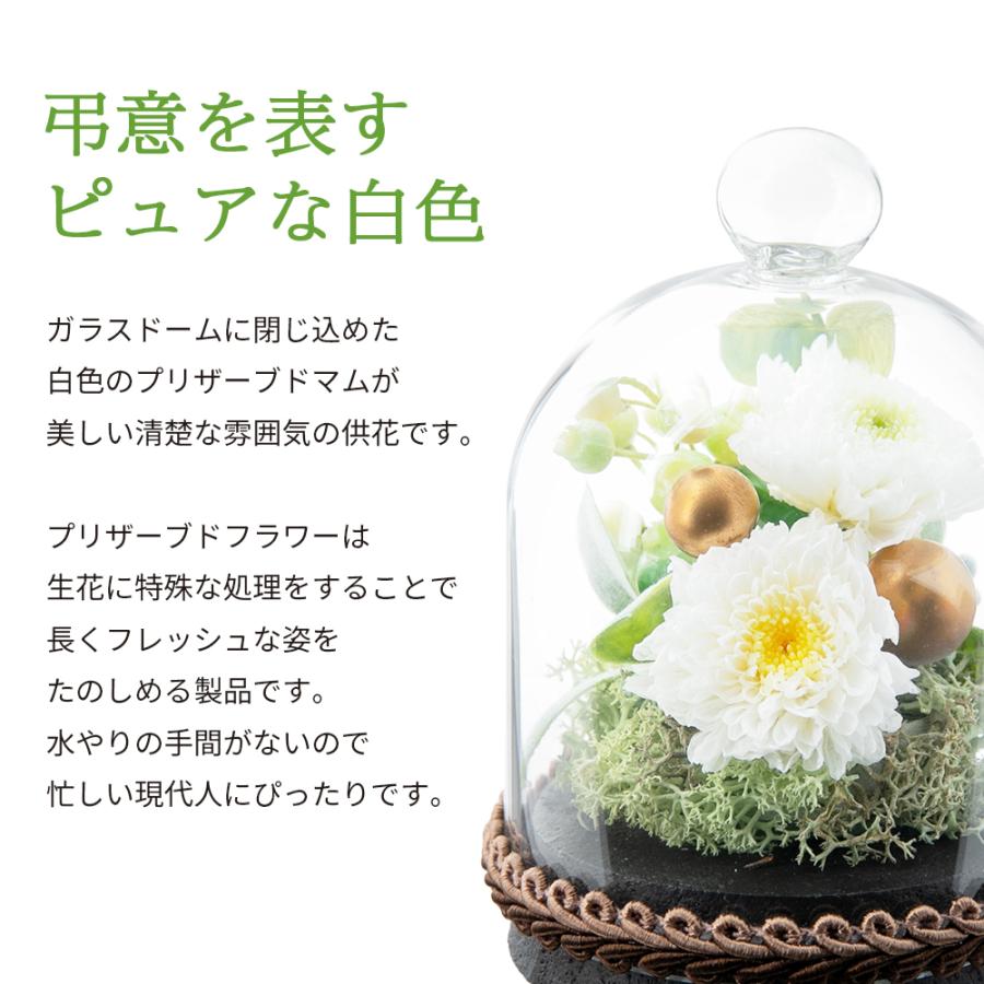 おトク 仏花 プリザーブドフラワー ガラスドーム ミニ ボトルフラワー お供え 供養 花 仏壇 お悔み 先祖 水子 人 ペット ガラスボトル お彼岸 お盆 おしゃれ3 980円 Aynaelda Com