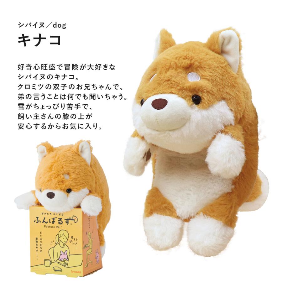 ふんばるず 姿勢補正 ぬいぐるみ 猫背 クッション Lサイズ くま うさぎ 