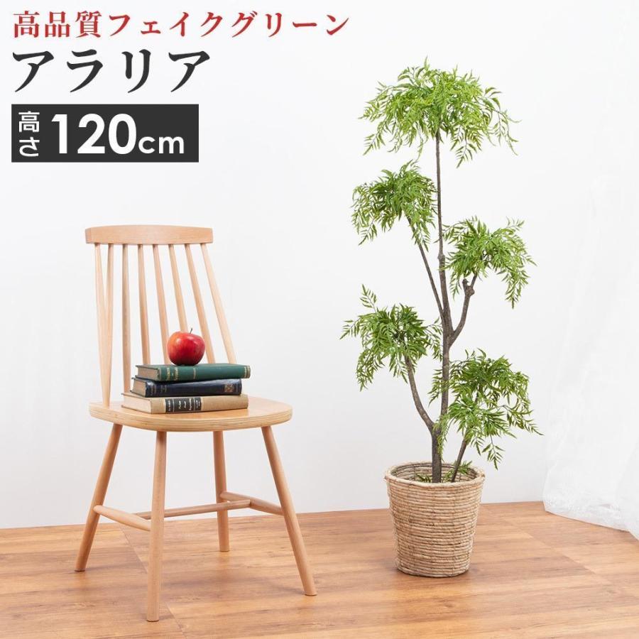 配送員設置送料無料 フェイクグリーン 大型 人工 観葉植物 アラリア 6号サイズ 鉢カバー セット インテリア 雑貨 リビング 玄関 枯れない 衛生的 ロビー テラス 癒し おしゃれ 受賞店舗 App Hds Dep Com