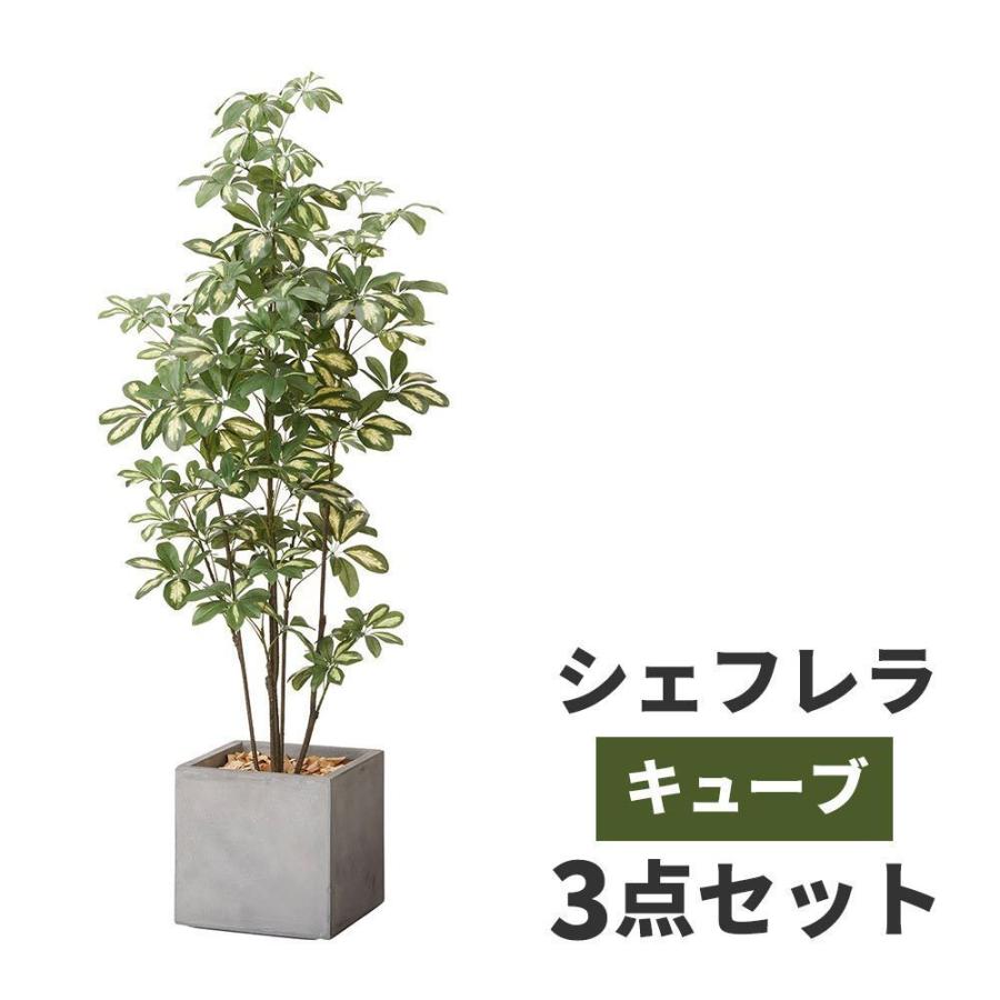 人気ショップが最安値挑戦 観葉植物 シュフレラ 鉢カバー セット 高品質 アーティフィッシャルフラワー 造花 人工観葉植物 フェイクグリーン 枯れない 臭わない 水不要 衛生的 おしゃれ 早割クーポン Zoetalentsolutions Com