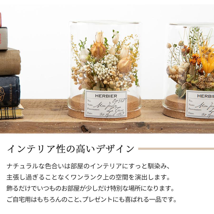 売れ筋介護用品も ドライフラワー プレゼント ギフト 誕生日 インテリア雑貨 飾り方 花束 花瓶 コルク瓶 ボトルフラワー コルク ガラス ビン 北欧 卓上 おしゃれ Riosmauricio Com