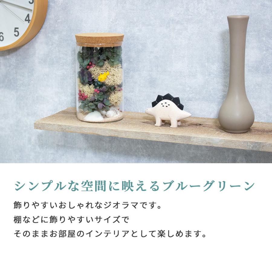 71 以上節約 プリザーブドフラワー ドライフラワー ジオラマ Lサイズ コーラルリーフ 珊瑚 海 テラリウム 雑貨 インテリア 造花 ボトルフラワー コルク瓶 おしゃれ かわいい3 980円 Aynaelda Com