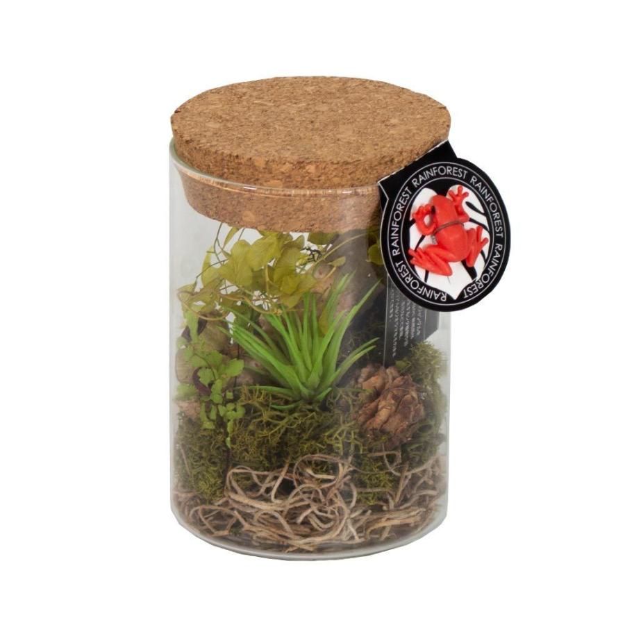 プリザーブドフラワー ドライフラワー Off ジオラマ Mサイズ 雑貨 インテリア 森林 ジャングル おしゃれ かわいい2 0円 造花 カエル ボトルフラワー テラリウム コルク瓶