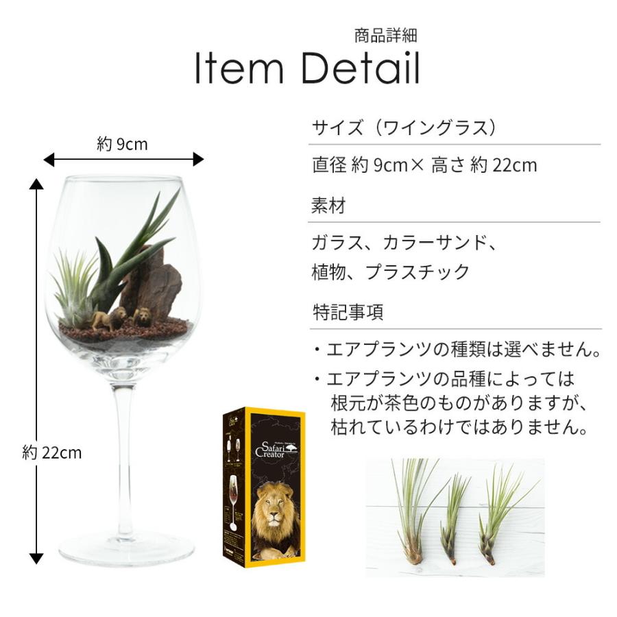 激安通販新作 エアプランツ セット ジオラマ 植物 ワイングラス ウッドチップ カラーサンド 砂 ミニチュア 動物 インテリア 観葉植物 雑貨 ガーデニング 趣味 おしゃれ Riosmauricio Com