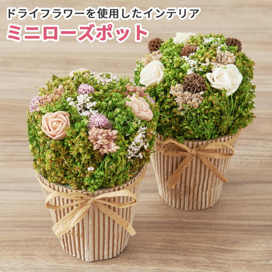ドライフラワー ミニ ポット 鉢 花 プチ プレゼント ギフト セット 誕生日 実用的 お祝い お礼 インテリア 雑貨 小物 オブジェ かわいい おしゃれ Pg 5a098 キングセレクション 通販 Yahoo ショッピング