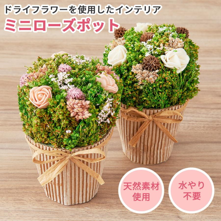 ドライフラワー ミニ ポット 鉢 花 プチ プレゼント ギフト セット 誕生日 実用的 お祝い お礼 インテリア 雑貨 小物 オブジェ かわいい おしゃれ Pg 5a098 キングセレクション 通販 Yahoo ショッピング