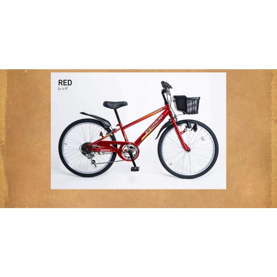 21Technology 子供用自転車 24インチ シマノ製6段ギア 男の子 21Technology 子供用自転車 24インチ シマノ製6段ギア 男の子