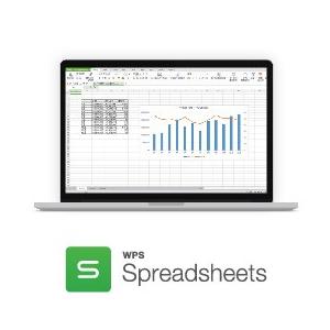 WPS Cloud プレミアム会員（6ヶ月プラン） オフィスソフト PDF編集 クラウドストレージ20GB WPS Office | キングソフト | 10