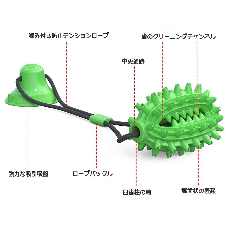 犬 屋内 トレーニング スマート かじる モル 歯をきれいにする 吸盤おもちゃ ペット 歯ブラシ 漏れやすいフードボール Zw Jy 006 Kingyama 通販 Yahoo ショッピング