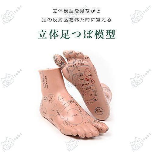 A7:足つぼ（DVD）学ぶ・足部反射療法教材 2級上編プロのset A7:足つぼ（DVD）学ぶ・足部反射療法教材 2級上編プロの