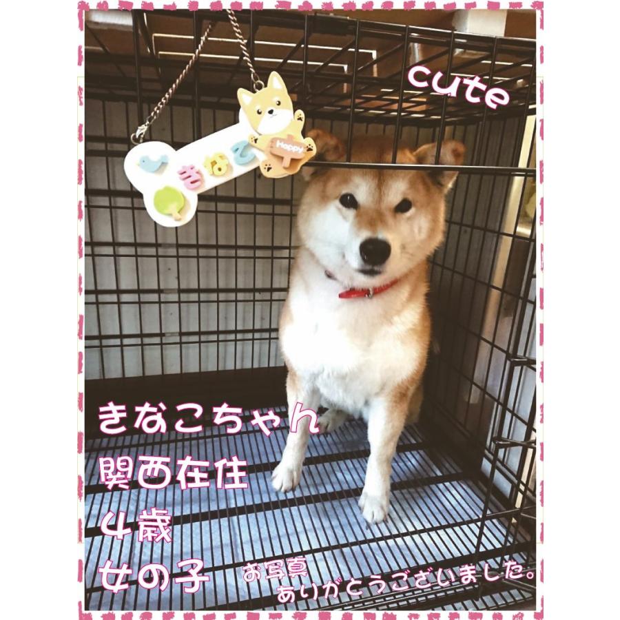 ドッグプレート キャットプレート 表札 ケージに サークルに ハウスに