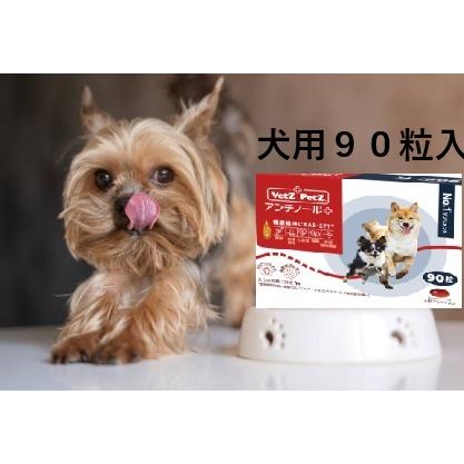 【特別価格数量限定】アンチノールプラス アンチノールPlus 犬用サプリ 90粒入り/箱