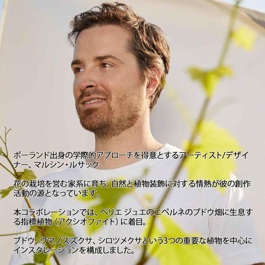 ペリエ ジュエ ［ブラン・ド・ブラン］ グラス2脚セット エコロジカル