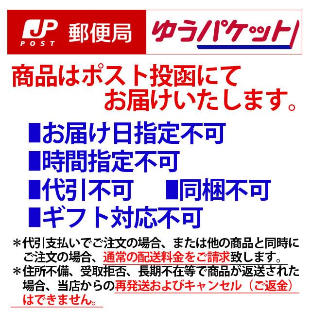 ゆうパケット送料無料 北斗の拳 前掛け ラオウ 我が生涯に一片の悔い無し 代引不可｜kinko｜02