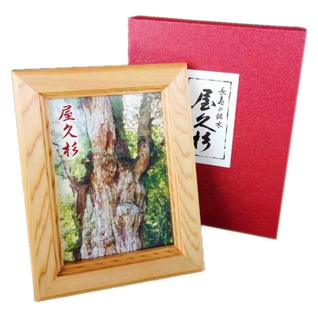 インテリア小物 屋久杉写真立て L判