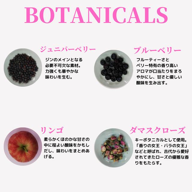 XYGIN PINK SILVER 45度 700ml シティーハンター クラフトジン 光武