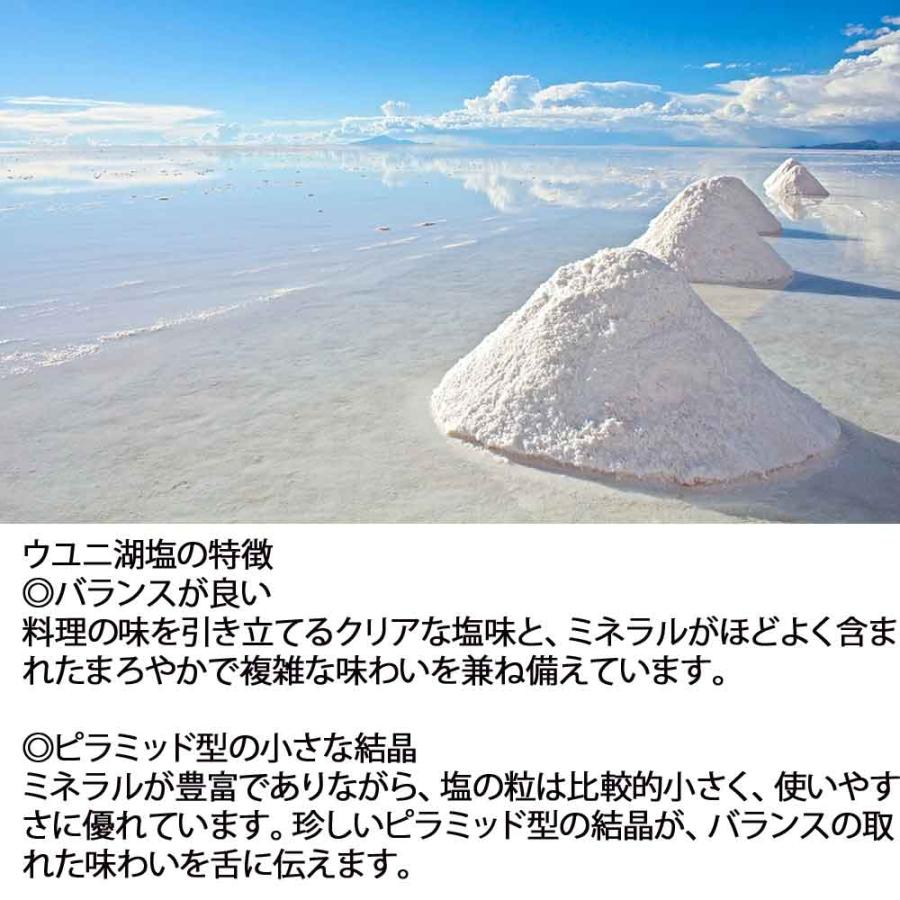 インテリア小物 稀少／ウユニ塩湖・塩の結晶①