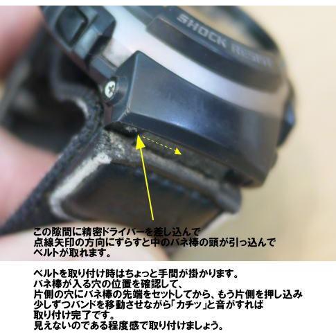 D&amp;G ベルト G-SHOCK用ベルト（バンド）【STUDS（スタッズ）】 ブラック FLOWER