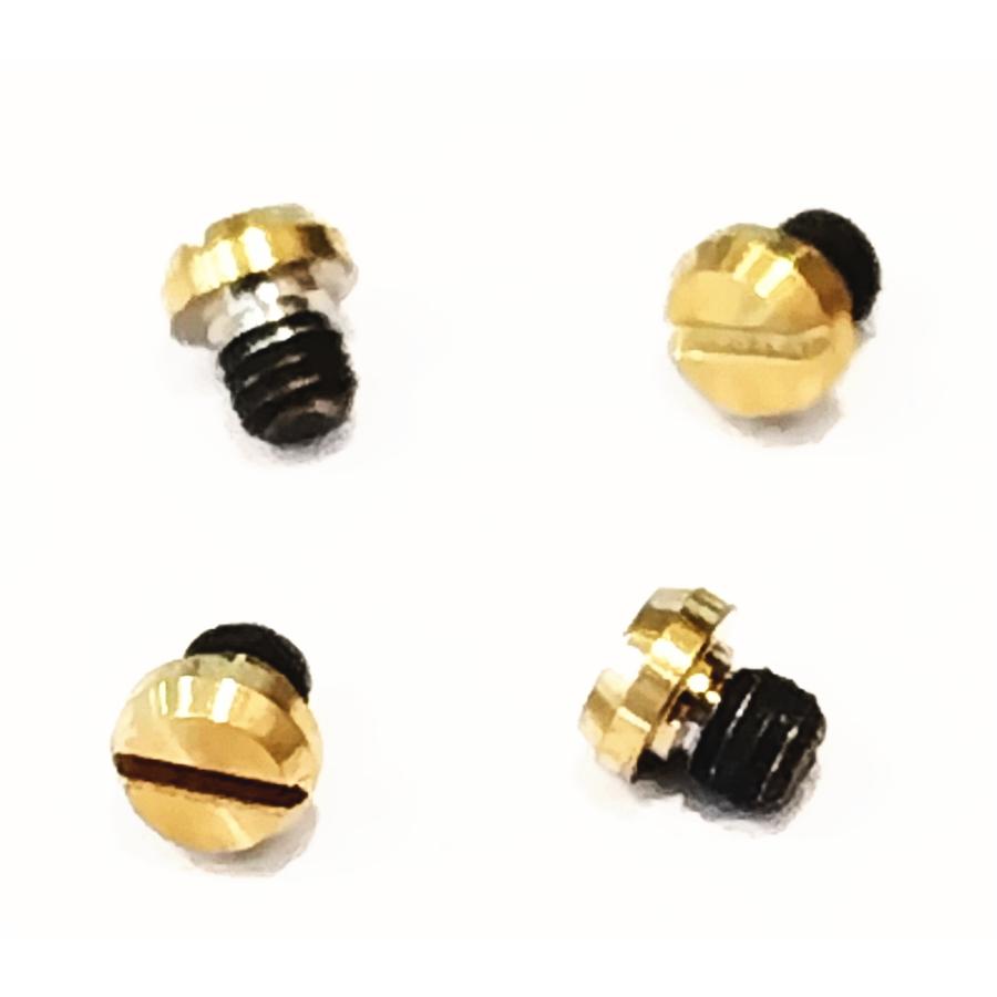 PRO TREK 【取り寄せ品】 GMW-BZ5000BD用ネジ（1set 4本） : Kinko-Do