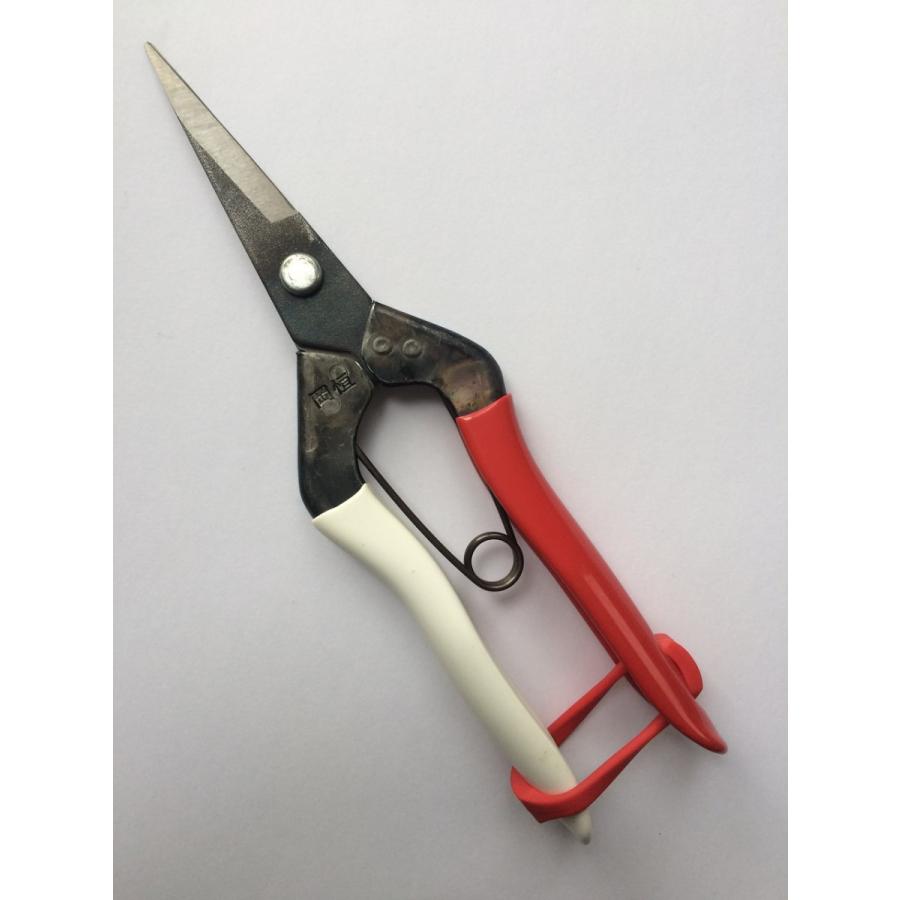 岡恒　芽切鋏　紅白　No304 60本セット【新品、未使用】　約19cm 園芸鋏 岡恒 芽切鋏 No.304 : 園芸商人 - 通販 - Yahoo!ショッピング