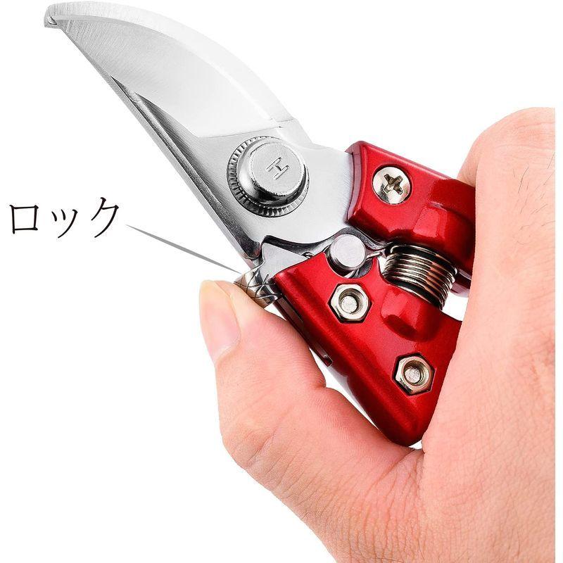 豪華な豪華なRAXCO 剪定バサミ、剪定鋏、剪定はさみ 、 せんていばさみ、 盆栽トリミングツール 、枝切りバサミ、バイパスタイプです 盆栽鋏、枝切り TAKAGI (タカギ):本刃付ステンレス剪定鋏200mm 4907052713444 園芸道具 剪定鋏