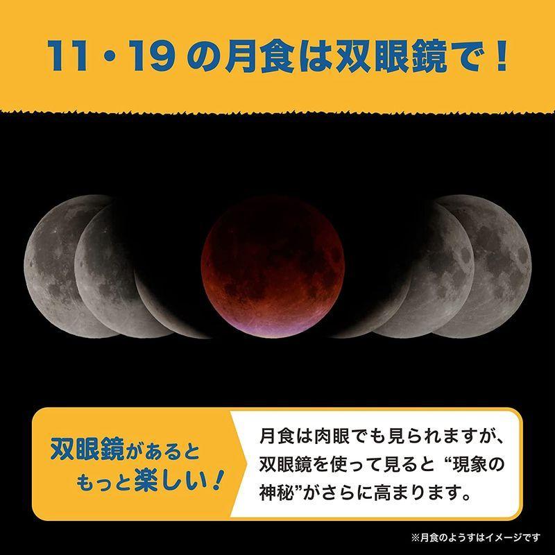 【2026年1月8日以降の発送予定】 ビクセン(Vixen) 星座 星空用双眼鏡 SG2x40f 19174 【L1907992058】(10073円)