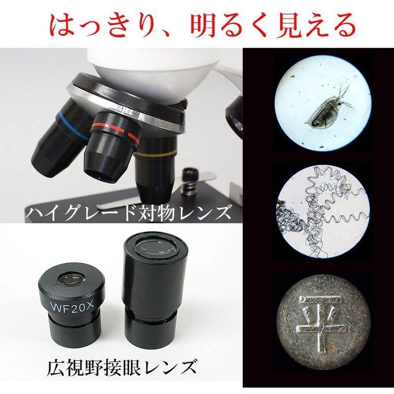 特別版：顕微鏡観察ガイド付属顕微鏡セット 40-800倍 2Way (生物顕微鏡と反射顕微鏡) マイクロスコープ スマホ撮影可 子供 小学生 800倍 2Way 生物顕微鏡と反射顕微鏡 マイクロスコープ スマホ撮影可 子供 小学生