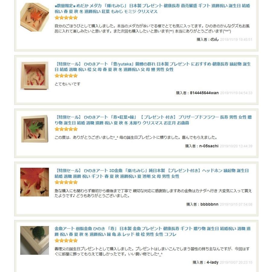樹脂金魚 金魚アート メダカ めだか 輝 紅葉 こだわりの純日本製 3D