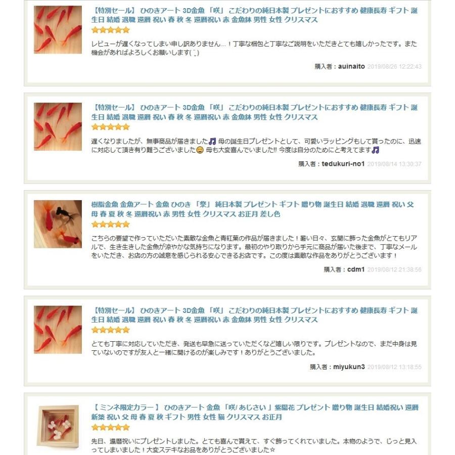 樹脂金魚 金魚アート メダカ めだか 輝 紅葉 こだわりの純日本製 3D