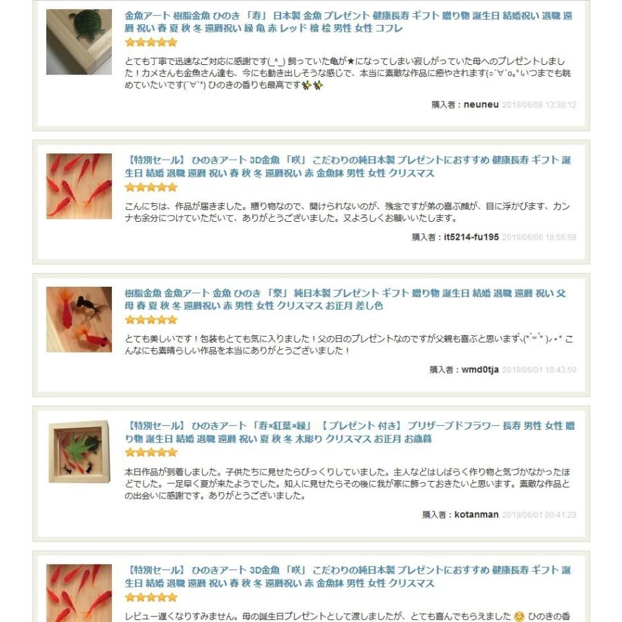樹脂金魚 金魚アート メダカ めだか 輝 紅葉 こだわりの純日本製 3D