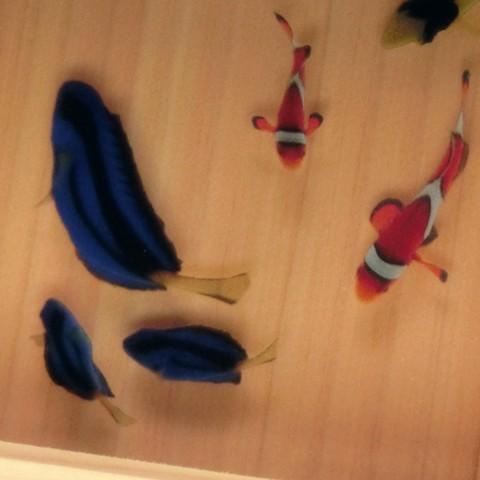 即納特典付き 金魚アート 樹脂金魚 絆 ハンドメイド ニモ 3d金魚 手作り ナンヨウハギ ヒノキのプレゼント付き 期間限定1500円割引クーポン対象品 新しい到着 Www Cepici Gouv Ci