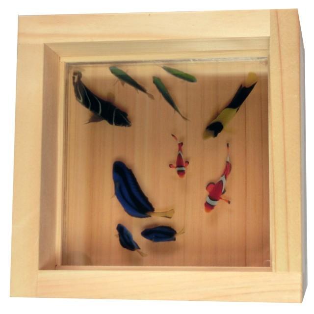 金魚 アート ニモ ドリー プレゼント 置物 水槽 金魚 海 マリン 生き物 海のアート 雑貨 絆 ハンドメイド ニモ 3D金魚 手作り ナンヨウハギ