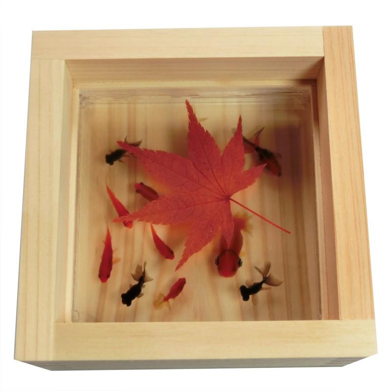 樹脂金魚 金魚アート 楽 もみじ こだわりの純日本製 ハンドメイド アクリル 樹脂 手作り ヒノキのプレゼント付き 1500円割引クーポン対象品 |  | 01