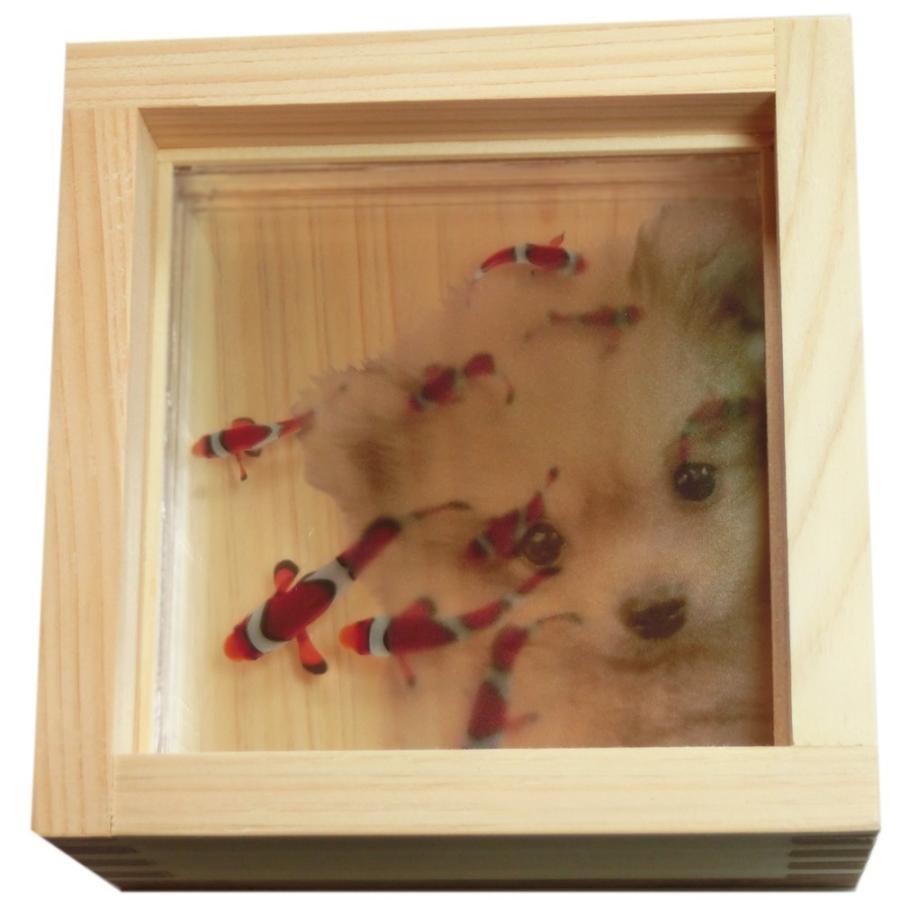 ポメラニアン 子犬 犬 いぬ イヌ 犬用品 犬雑貨 オーナーズグッズ 海水魚 クマノミ ニモ 手作り ハンドメイド プレゼント Pomeraniann 寿鳳堂 通販 Yahoo ショッピング