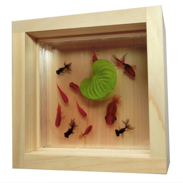 樹脂金魚アート 楽 手作り 日本製 らんちゅう アクリル 還暦 誕生日