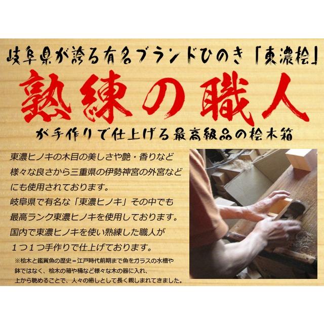 注目の ウミガメ 海亀 煌 手作り 日本製 金魚アート ヒノキ プレゼント 亀のぬいぐるみ 水槽 ペット用品 生き物 爬虫類 両生類 限定価格セール Www Muslimaidusa Org