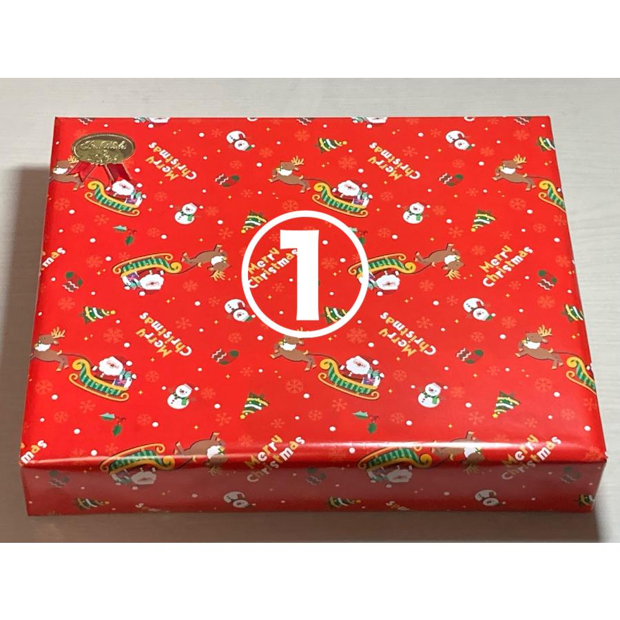 《クリスマス包装いたします》【正規輸入品】キュボロ『ジュニア』　CUBORO JUNIOR | cuboro | 08