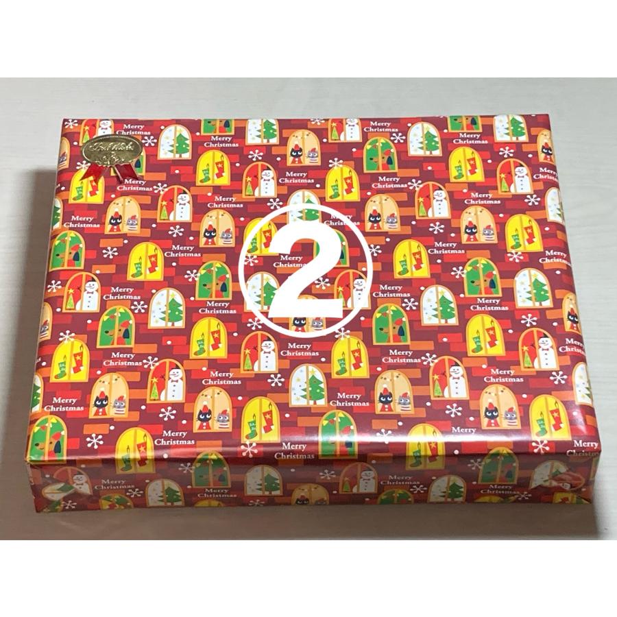 《クリスマス包装いたします》【正規輸入品】キュボロ『ジュニア』　CUBORO JUNIOR | cuboro | 09