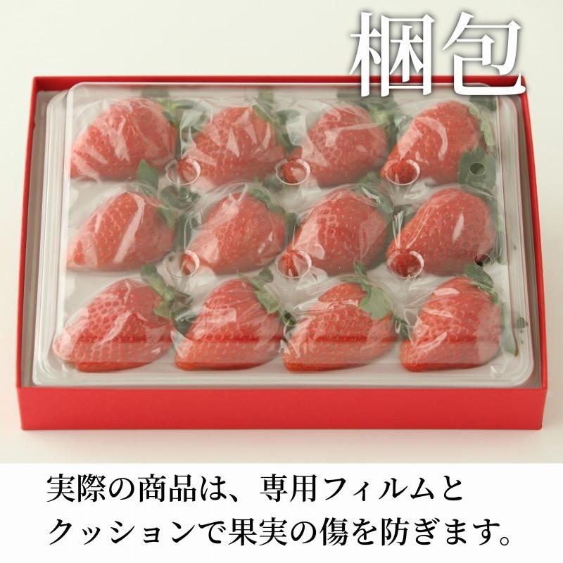 【産地から直送】まりひめ ギフト用 400g×1箱 和歌山県産 いちご 紀のベリー |  | 05