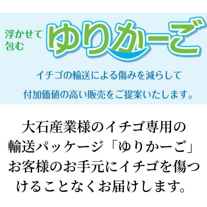 【産地から直送】まりひめ ギフト用 400g×1箱 和歌山県産 いちご 紀のベリー |  | 06