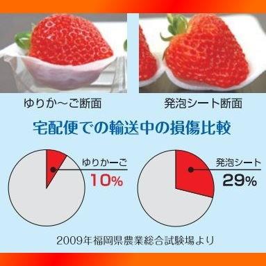 【産地から直送】まりひめ ギフト用 400g×1箱 和歌山県産 いちご 紀のベリー |  | 07