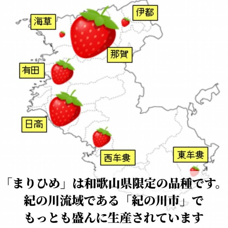 【産地から直送】まりひめ ギフト用 400g×1箱 和歌山県産 いちご 紀のベリー |  | 08